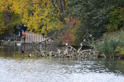 DSC_0560 (Large).JPG